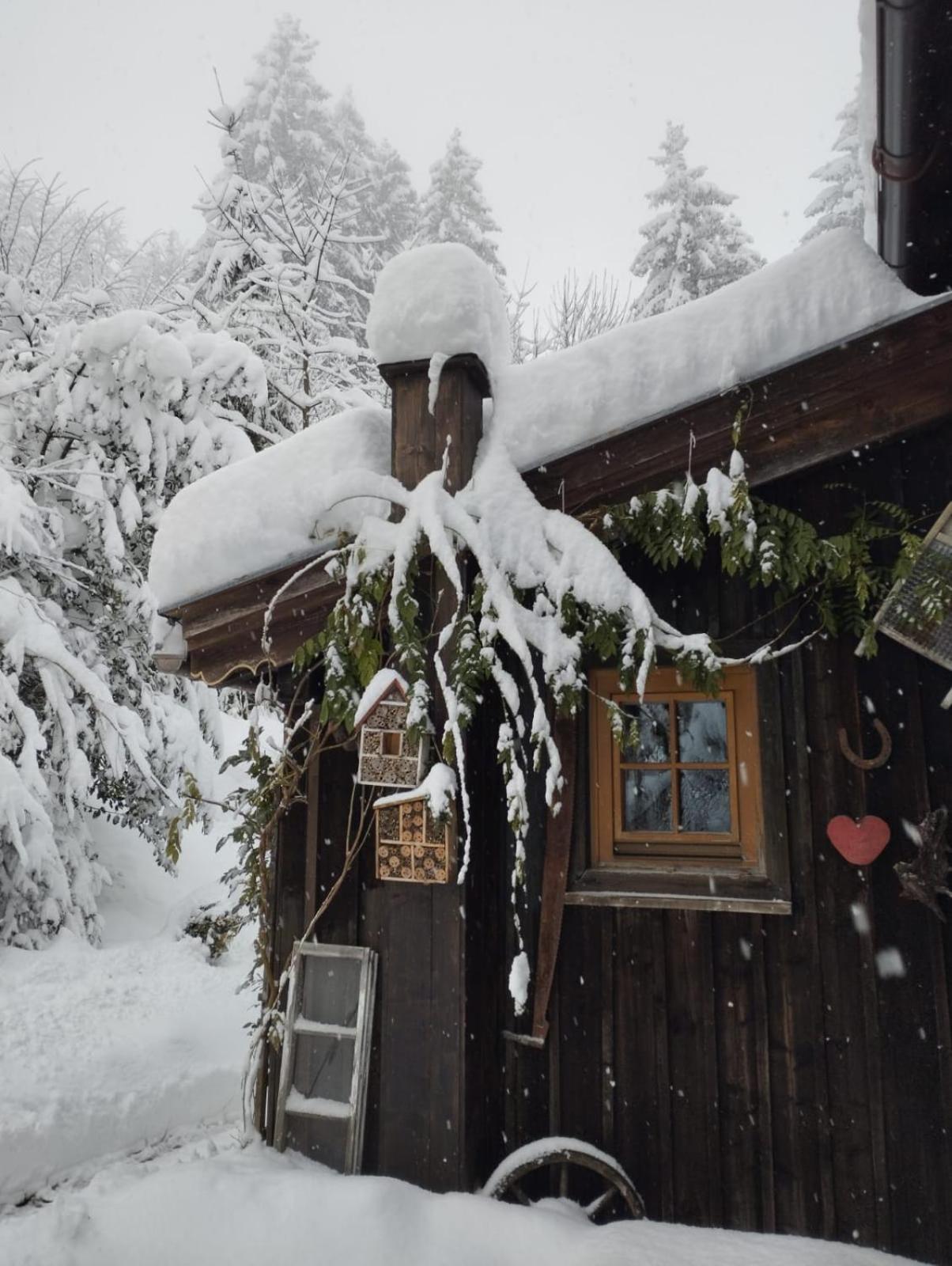 Binderhaeusl Villa Thiersee Exterior photo